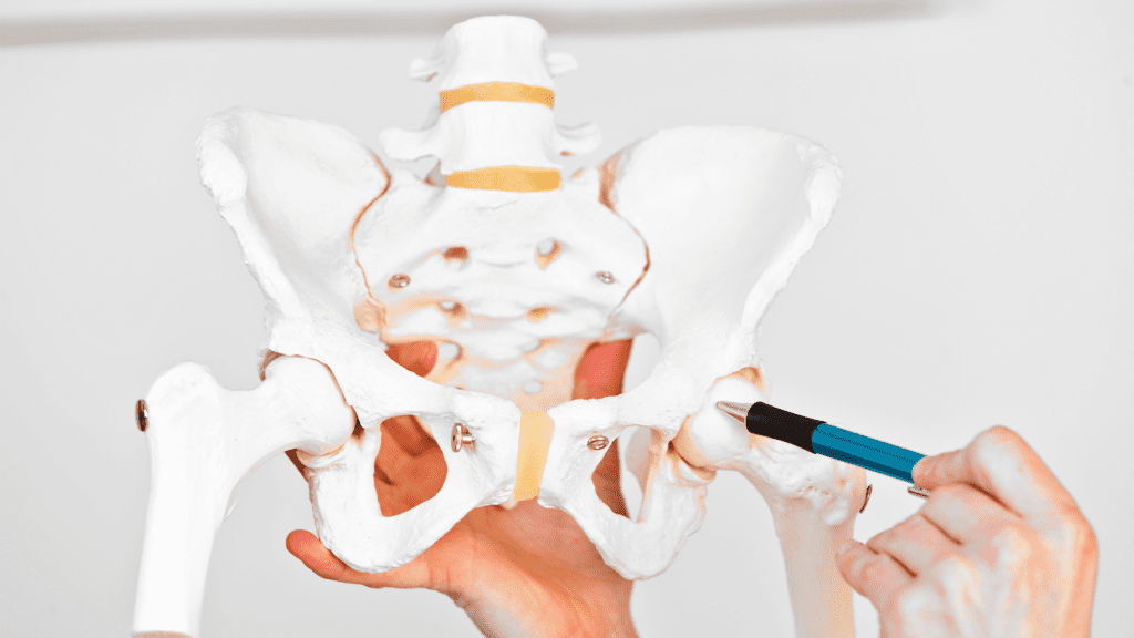 Everything You Need to Know About Hip Replacement Surgery